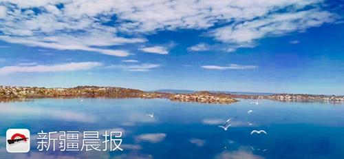 奔着“骆驼”来旅居，中国骆驼小镇在福海开工建设