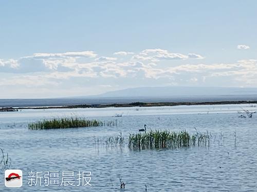 奔着“骆驼”来旅居，中国骆驼小镇在福?？そㄉ? inline=
