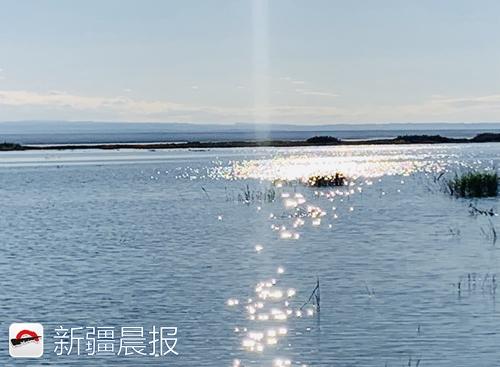 奔着“骆驼”来旅居，中国骆驼小镇在福?？そㄉ? inline=